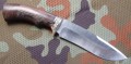 scyt95kuty7.JPG