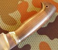 sokol95x18_5.JPG