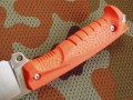 marsD2orange5.JPG