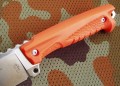 marsD2orange6.JPG