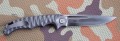 kuguarAUS8_1.JPG