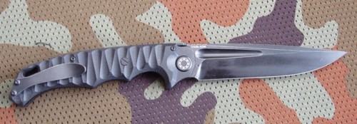 kuguarAUS8_1.JPG