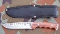 altaj2_2.JPG