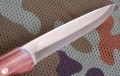 altaj2_4.JPG