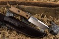 ColadaAUS10co4.jpg