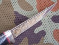 amigo95alugold4.JPG