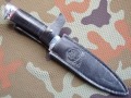 amigo95alugold10.JPG