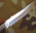 jesiotr95x18wenge4.JPG