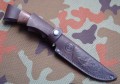 szczuka95x18wenge9.JPG