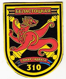 310.jpg