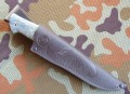 kajmanD2_10.JPG