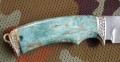 scyt_dmst_stab6.JPG