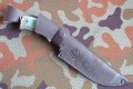 scyt_dmst_stab11.JPG