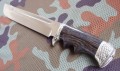 cezar8.JPG