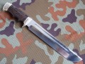 cezar9.JPG