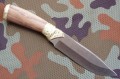 leopardD2_9.JPG