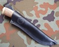 leopardD2_10.JPG