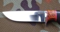 jegierN690karel3.JPG