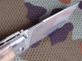 sterch_dr_blstrH12MF4.JPG