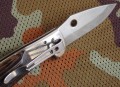 delfinbulat4.JPG