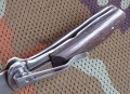 delfinbulat5.JPG