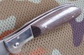 delfinbulat6.JPG
