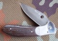 delfinbulat7.JPG