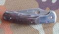 delfinbulat8.JPG