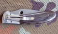 delfinbulat9.JPG