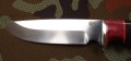 lordN690_3.JPG