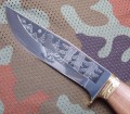 fazan3.JPG