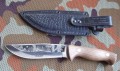 fazangraw2.JPG