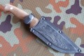 fazangraw9.JPG