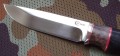 jastriebN690krl_3.JPG