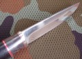 jastriebN690krl_4.JPG
