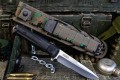 AlphaD2SW4.jpg