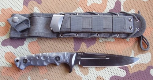 jaguarMD2cz1.JPG