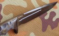 jaguarMD2cz4.JPG