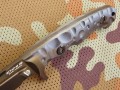 jaguarMD2cz6.JPG