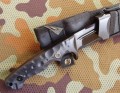 jaguarMD2cz7.JPG