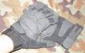 hawk_black1.JPG