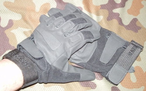hawk_black1.JPG