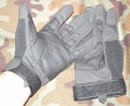 hawk_black2.JPG