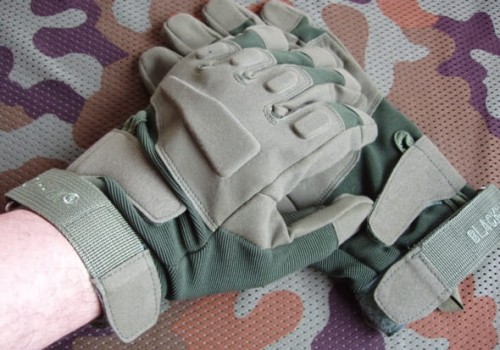 hawk_green1.JPG