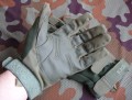 hawk_green2.JPG