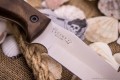 FlintAUS8SW5.jpg