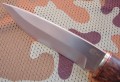 blizniakD2stab3.JPG