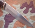 blizniakD2stab4.JPG