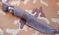 blizniakD2stab8.JPG