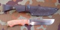 wariagD2stab1.JPG